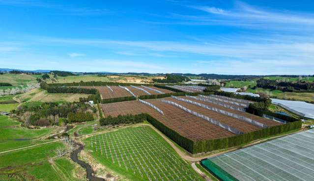 80 Roydon Downs Road Paengaroa_3