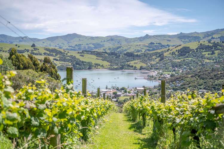 35 Lighthouse Road Akaroa_8