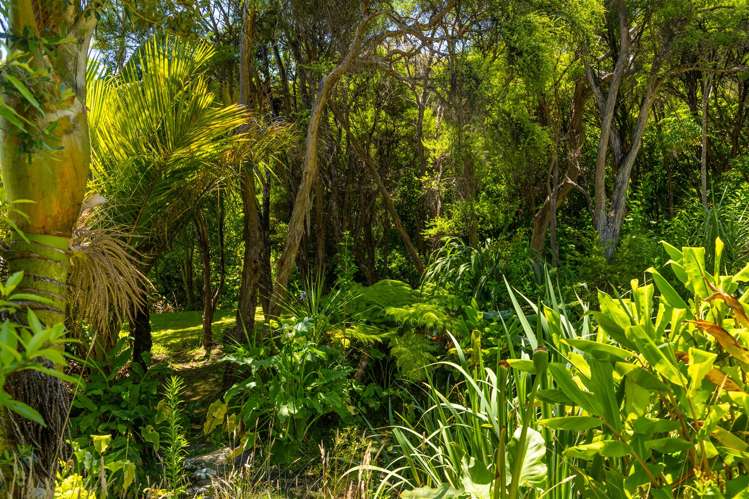 516 Clova Bay Road Kenepuru Sound_22