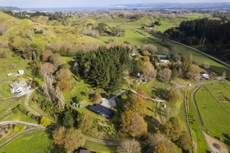 162b Matokitoki Valley Road Matokitoki_24