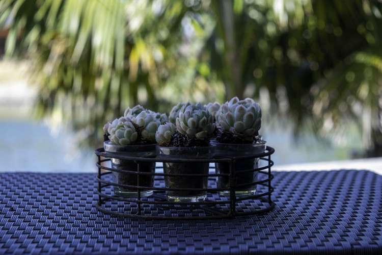 27 Mariners Haven One Tree Point_22