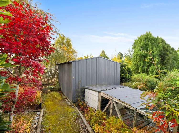 9 Canna Street Lawrence_14