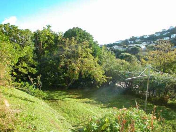 60 Waipapa Road Hataitai_13