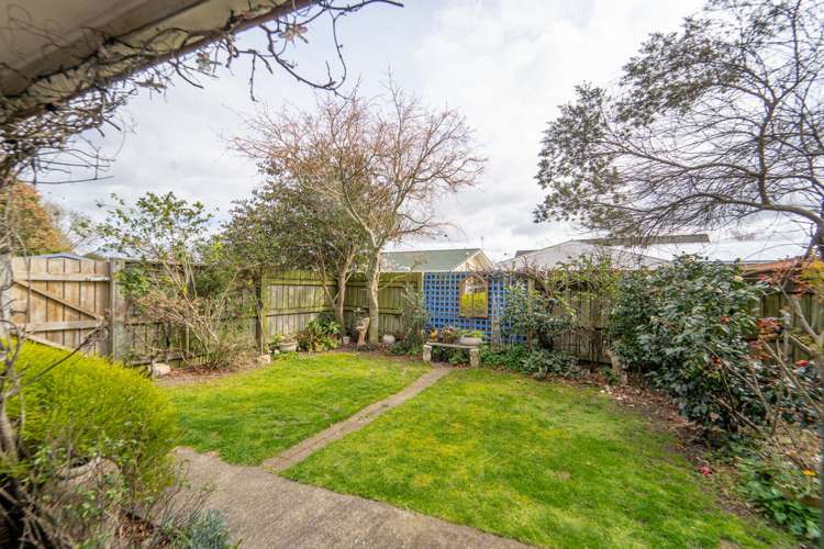 41a Cole Street Masterton_14