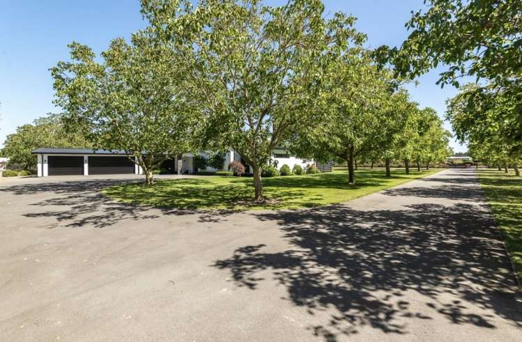 158 Cullen Avenue Swannanoa_2