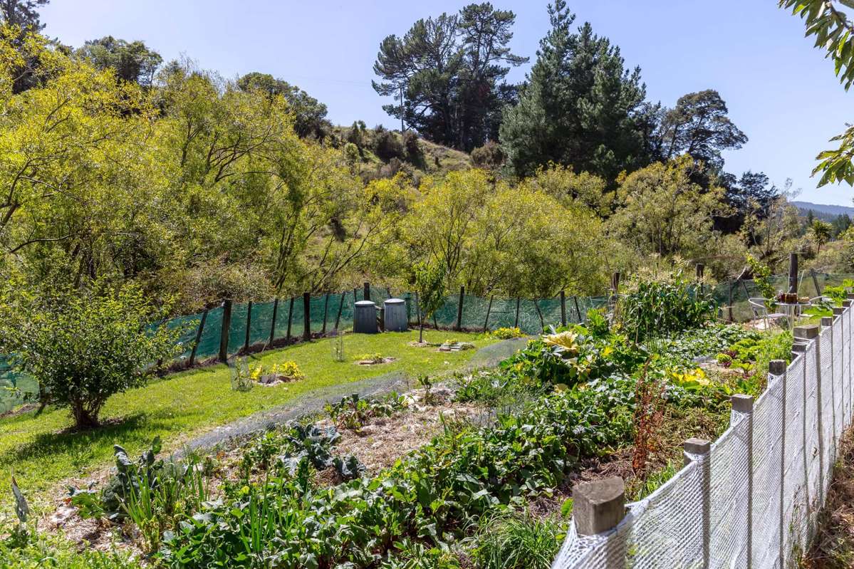 2010 Te Wharau Road_4