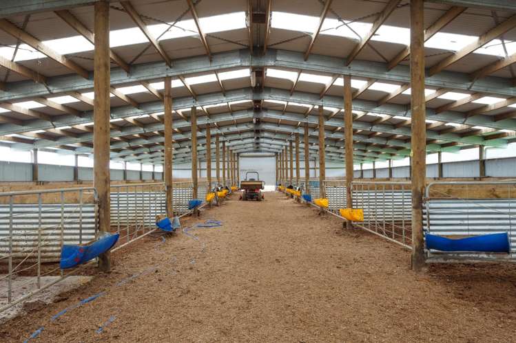 109B Te Tuhi Road, Okauia Matamata_12