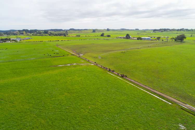 287 State Highway 1 Bulls_9