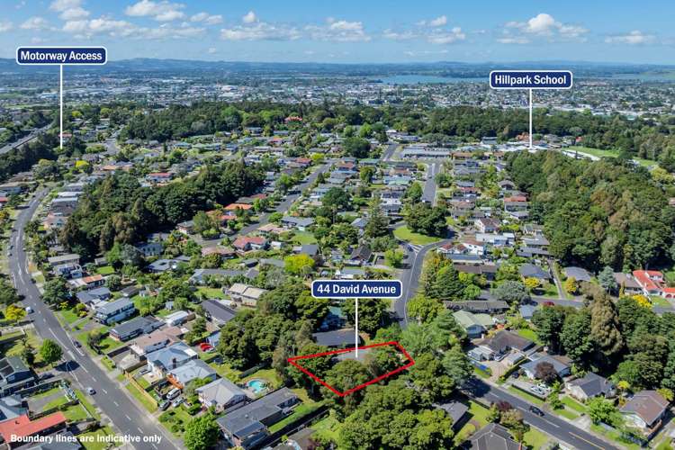 44 David Avenue Hill Park_19