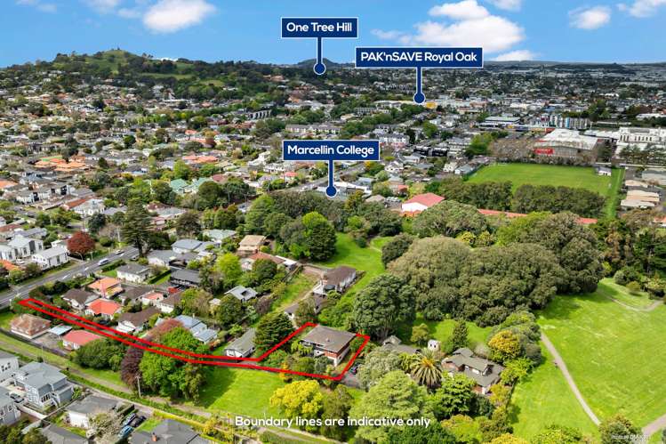 1/599 Mount Albert Road Royal Oak_11