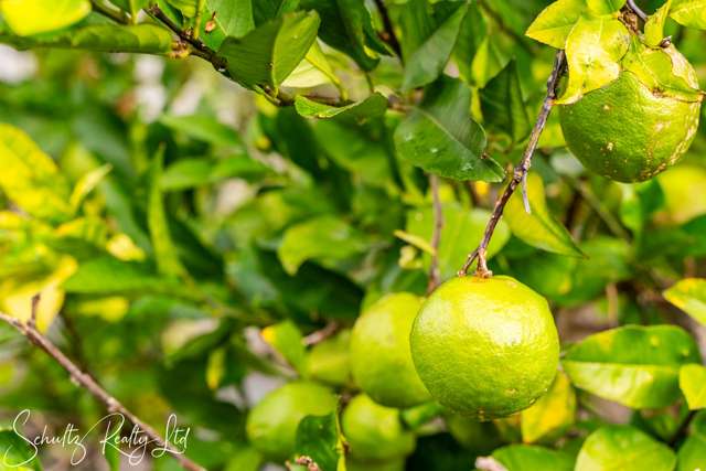 30 Settlement Road Kaiwaka_3