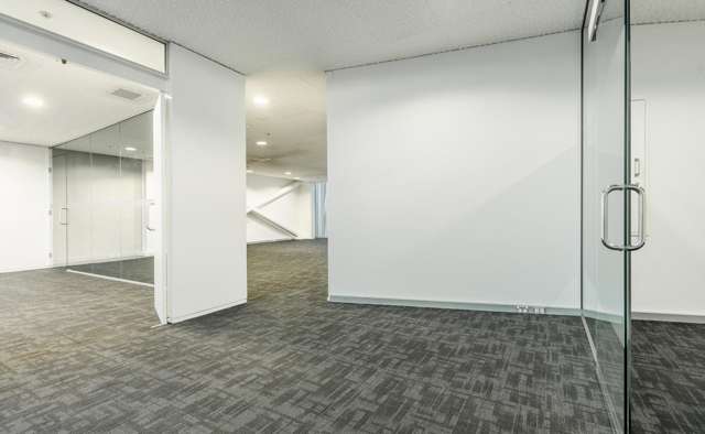 Suite 1/8A Cleveland Rd Parnell_3