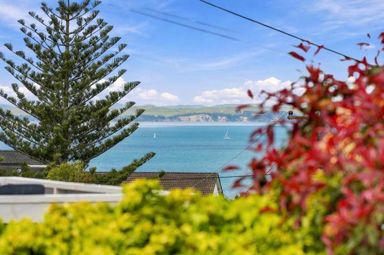 15 Carlisle Road Torbay_7