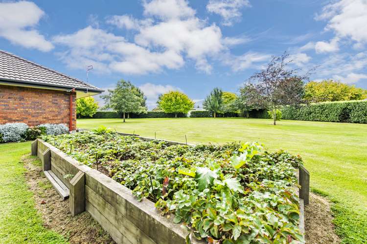 38 Winnie Vine Place Dunsandel_22