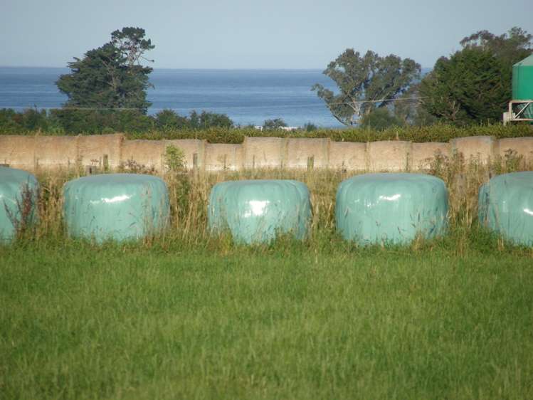 208 Schoolhouse Road Kaikoura_5