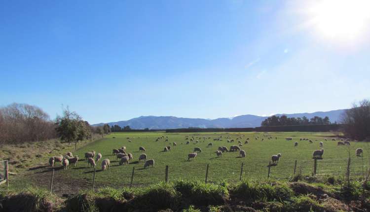 769 Steffens Road Oxford_12