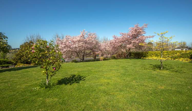 15 Josephine Place Te Kauwhata_33