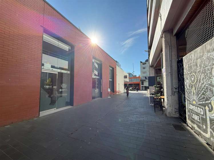 8 Lombard Lane Te Aro_1