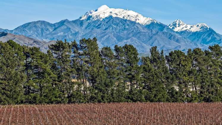 592 Awatere Valley Road Awatere Valley_7