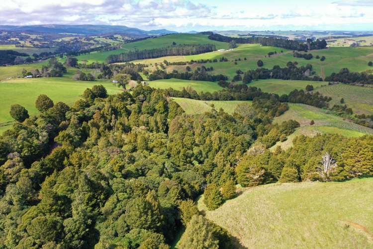 Lot 1 Katui Road Dargaville Surrounds_12