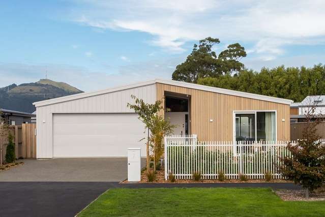 New mid century modern living