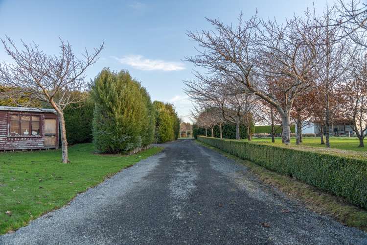 29a Beaconsfield Road Lorneville_33