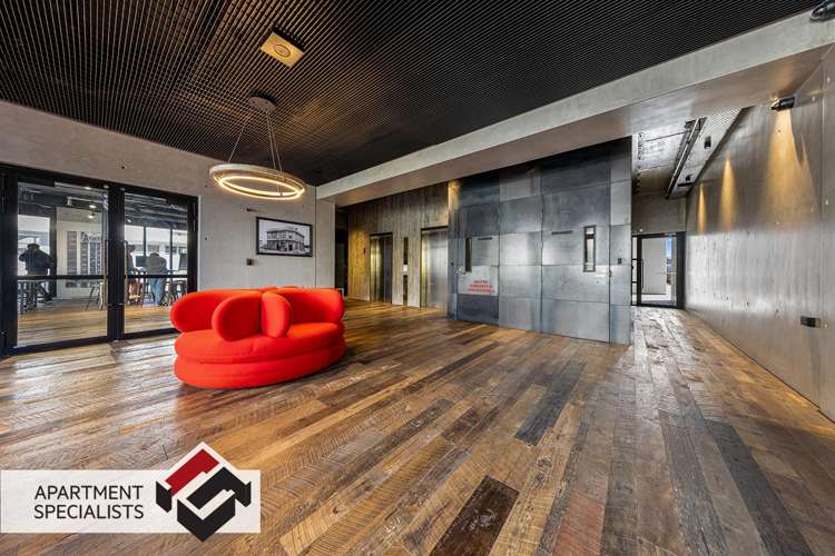 59 France Street Eden Terrace_14
