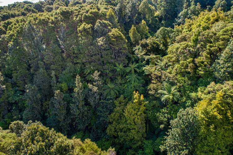 125 Wilson Road Hunua_6