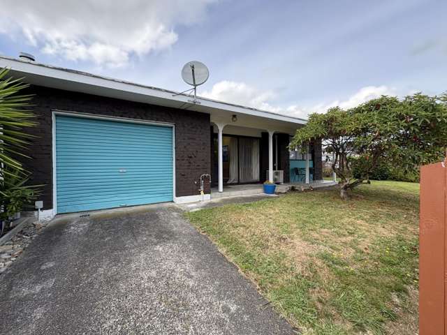 Cozy Home in Waikanae