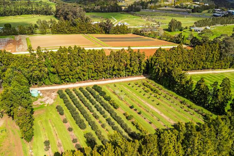 1244A State Highway 10 Kerikeri_10