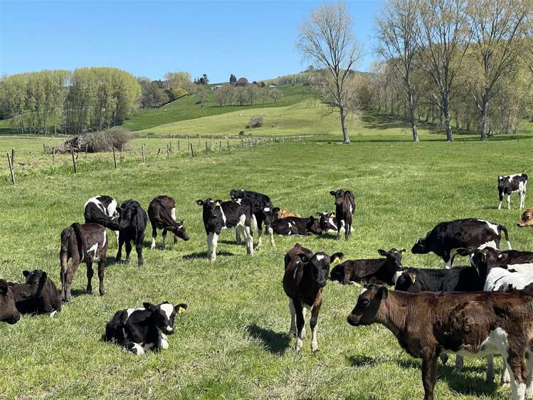 135 Whataroa Road Te Kuiti_8