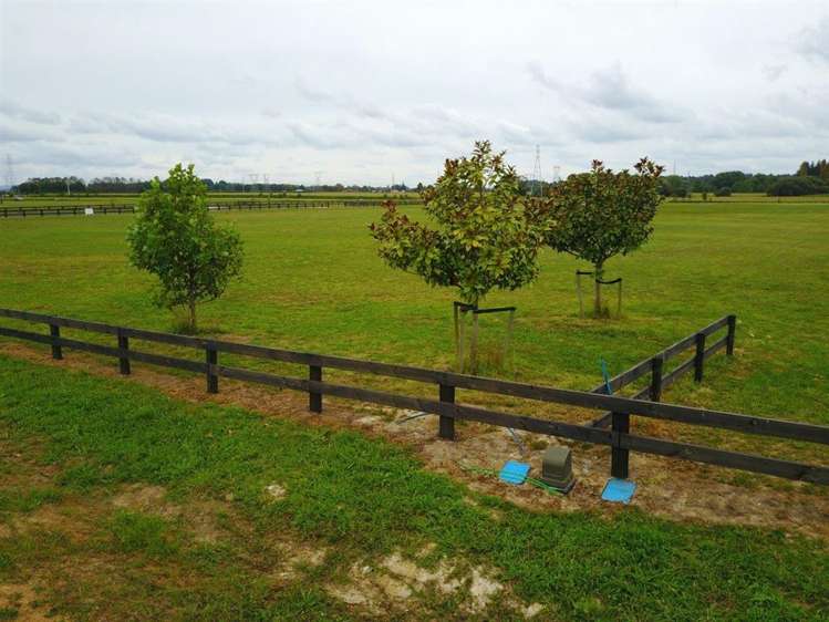 30 Margot Lane Matangi_9