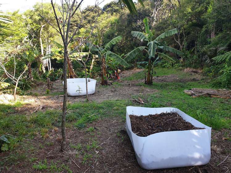 15 Puriri Place, Tuateawa_40