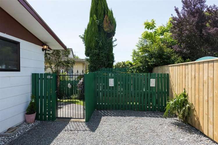 22c Ward Street Springlands_12