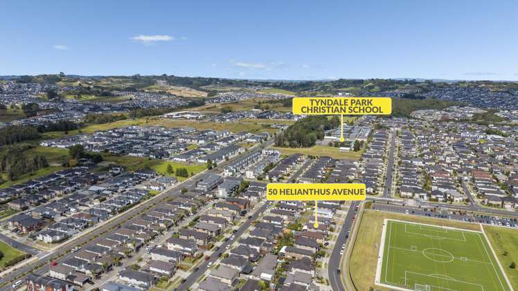 50 Helianthus Avenue Flat Bush_26