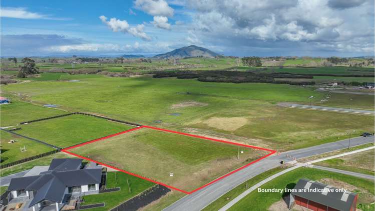 895 Collinson Street Pirongia_1