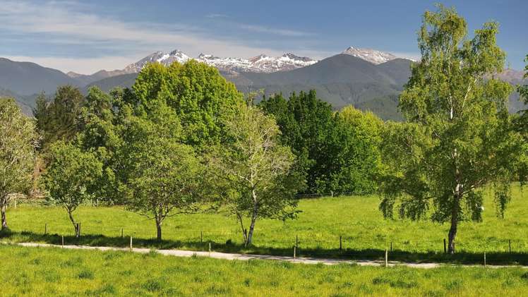 200 Upper Stanley Brook Stanley Brook_8