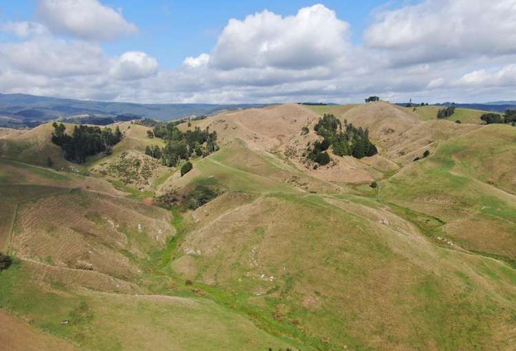 1026 Limeworks Loop Road Karamu_8