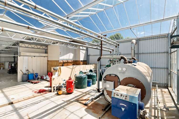 377 Mercer Ferry Road Mercer_8