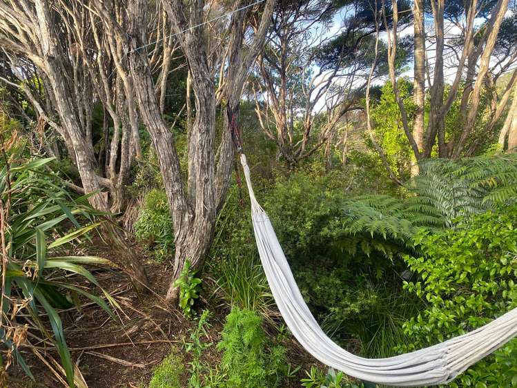 Kauri Cabin/128 Lone Kauri Road Karekare_6