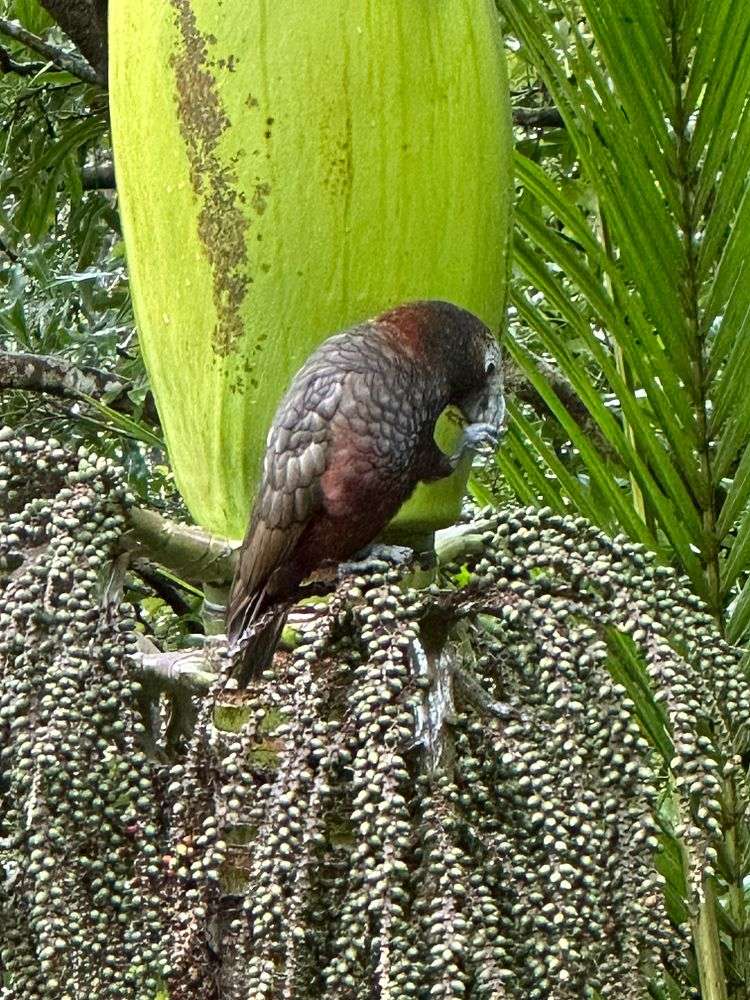 24 Victoria Road Onetangi_16