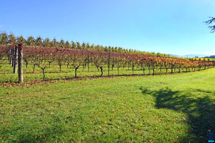 196 Holdaway Road Lower Moutere_7