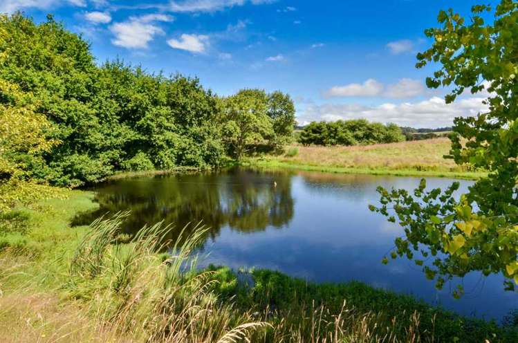 273 Forestry Road Waitoki_57