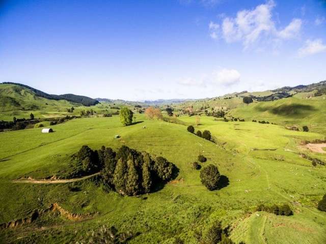 5166 State Highway 4 Waimiha-Ongarue_2