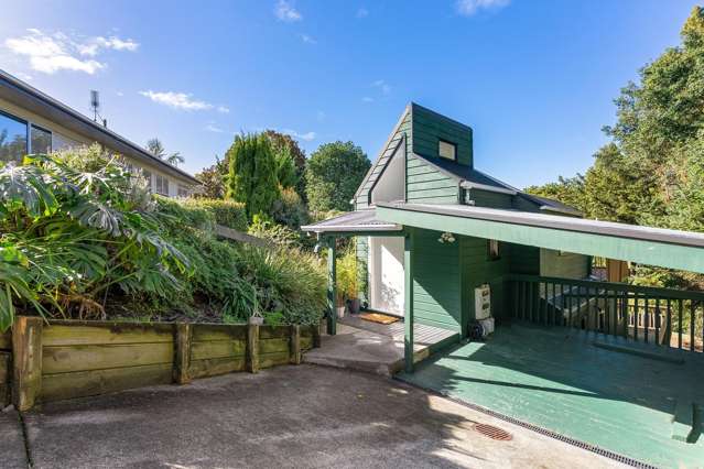 Willow Park Winner - Quirky, Cool & Full of Potential