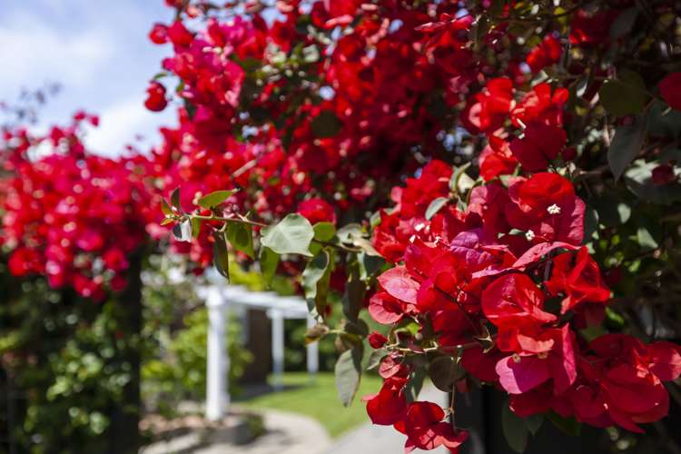 29 Kohekohe Road Waikanae_24