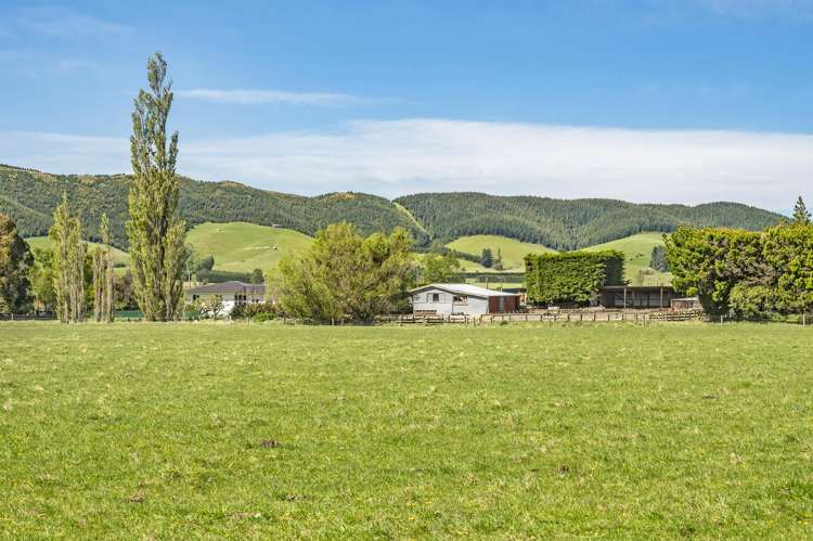 677 Pig Saddle Road Sheffield_11