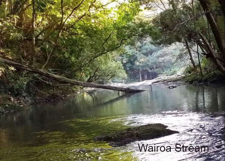 38 Alderton Drive Kerikeri_16