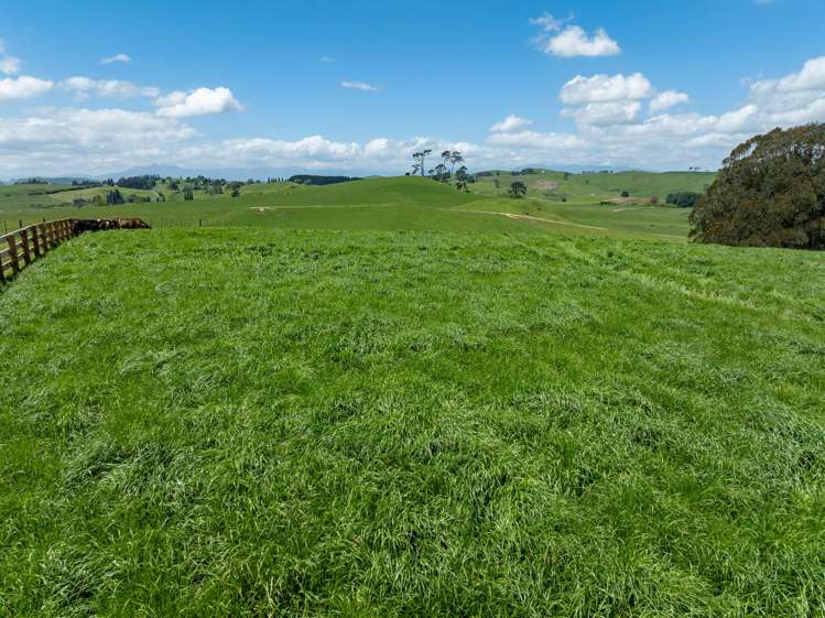 117 Manion Lane Morrinsville_7