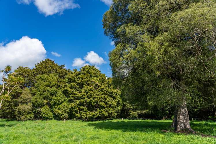 Porangahau Road Wallingford_15